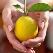 Что делать, если ногти начали слоиться